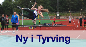 ny-i-tyrving
